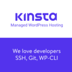 Kinsta-Web-Hosting